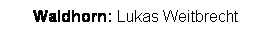 Textfeld: Waldhorn: Lukas Weitbrecht
 
